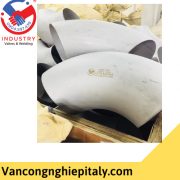 Co-han-inox-dn200-tai-tphcm