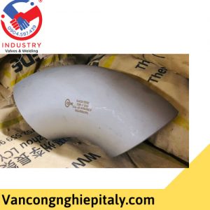 Co-han-inox-dn250-gia-re-tai-tphcm