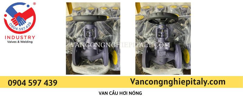 van-cau-yen-ngua-turkey